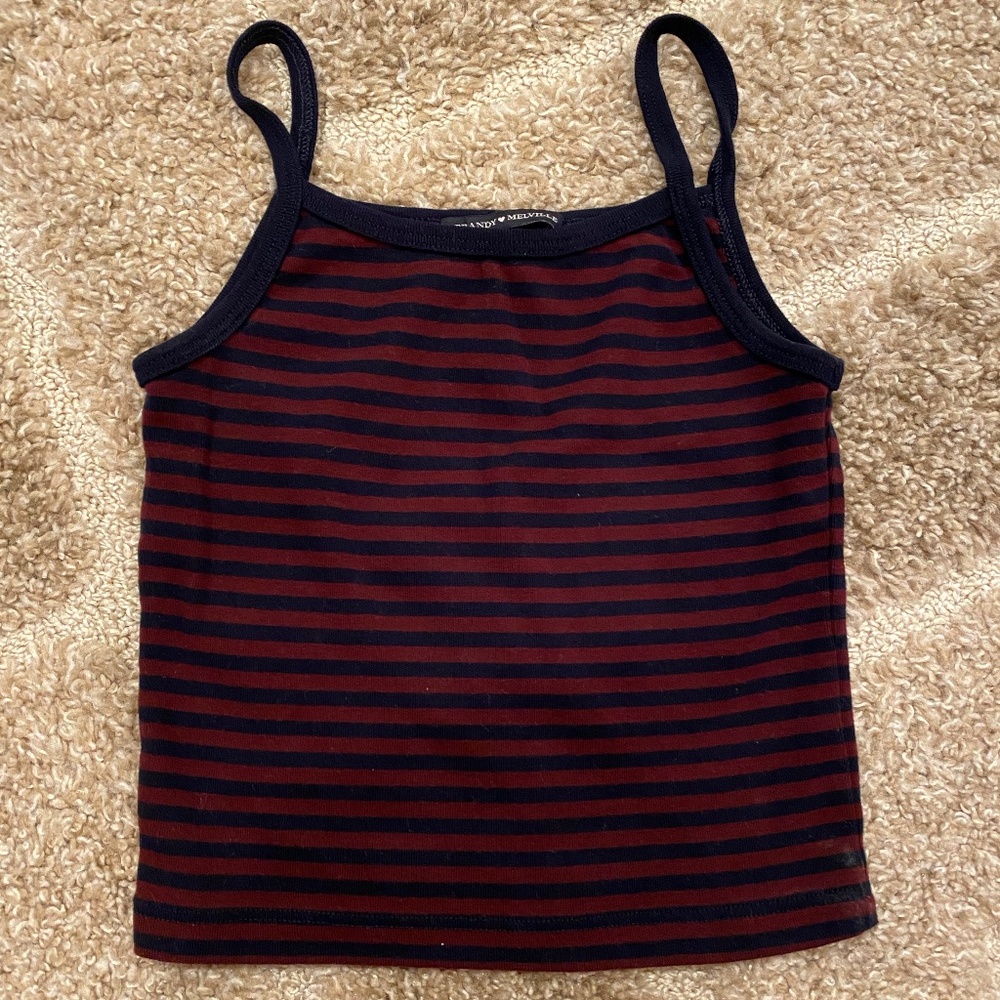 Brandy Melville Striped Tank Top